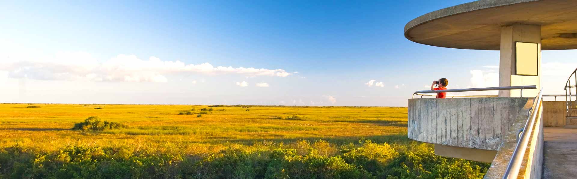 Florida Everglades Lookout Tower