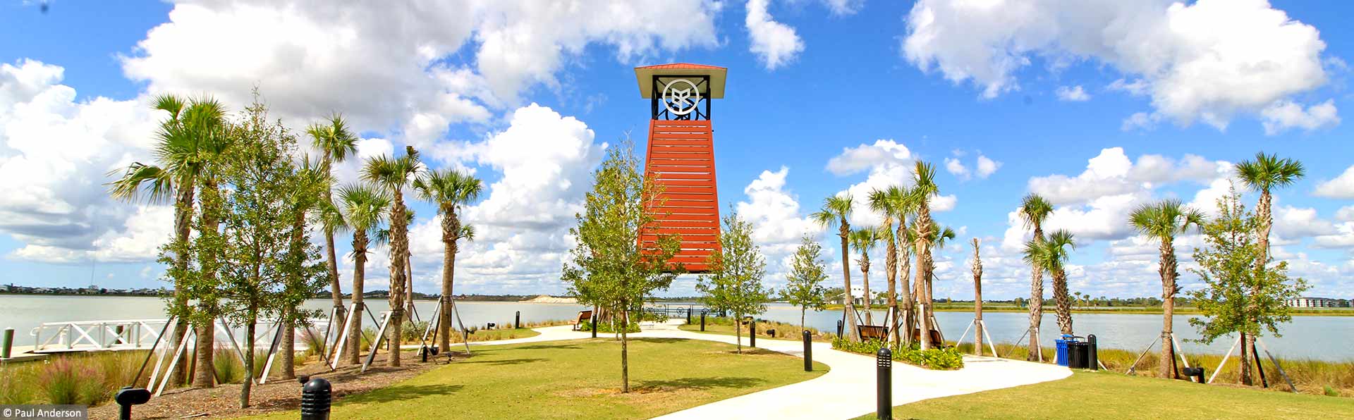 new palm trees and walkway overlooking water