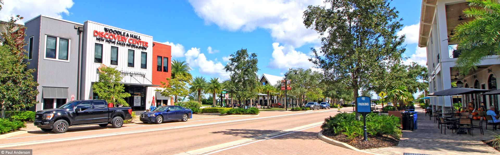 buildings with brick street and tropical landscape