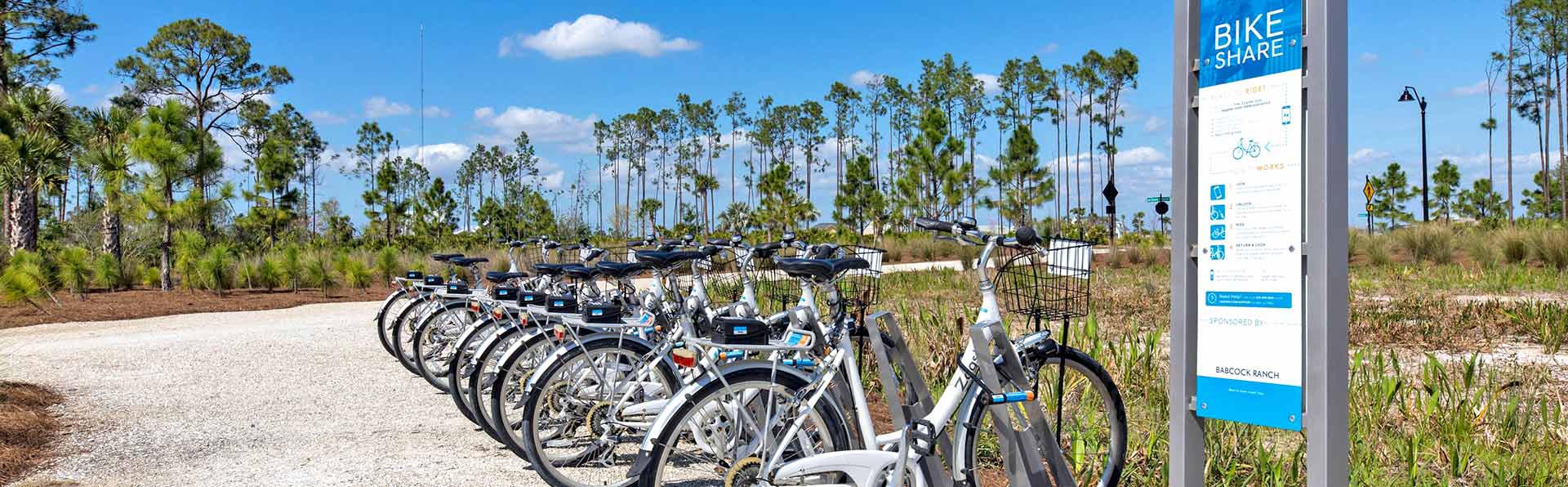 Bicycles at an outdoor bike station all lined up