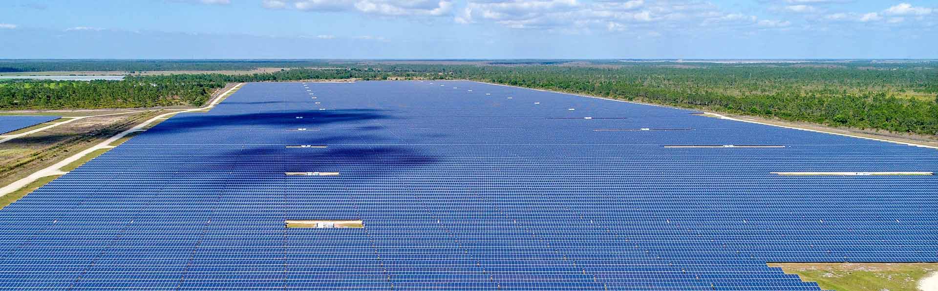 Large Solar Field in Florida