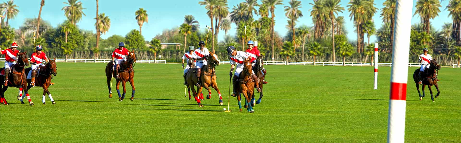 Lakewood Ranch Polo Game