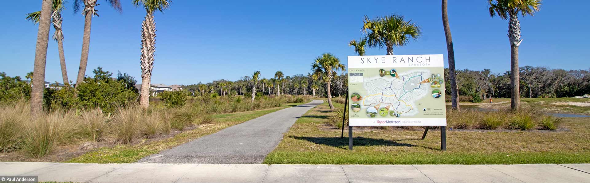 walking trail with plam trees and blue sky