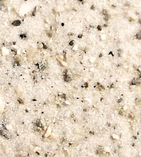 Texture of Lido Beach, FL Sand