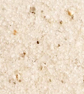 Texture of Longboat Key, FL Sand