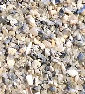 Texture of Venice Beach, FL Sand