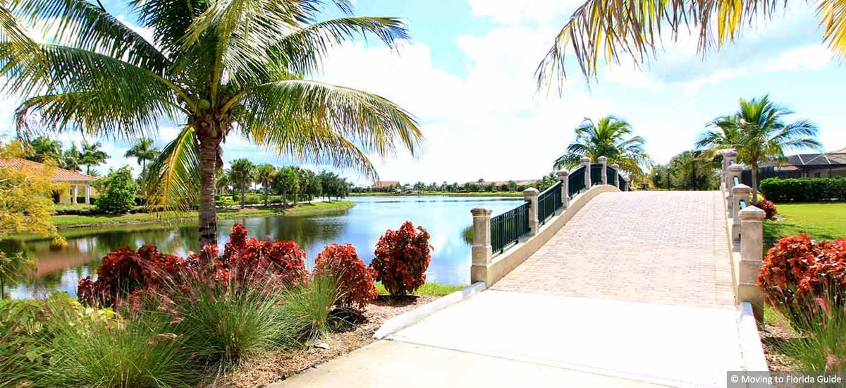 pathway with tropical landscape on a sunny day