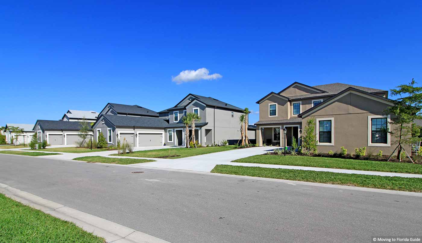 Cassia at Skye Ranch - Street View of Homes
